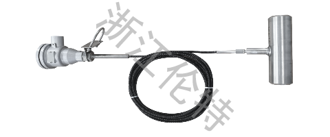 小直徑管道直接測溫溫度計